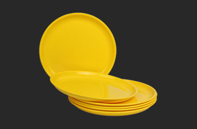 Party Plate Manufacturer in Delhi
