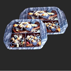 Food Compartment Tray Manufacturer