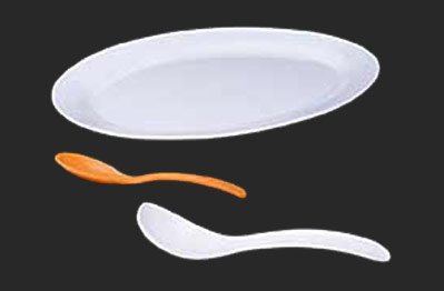 Rice Plate Manufacturer in Delhi