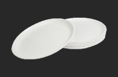 Full Plate 12 Manufacturer in Delhi